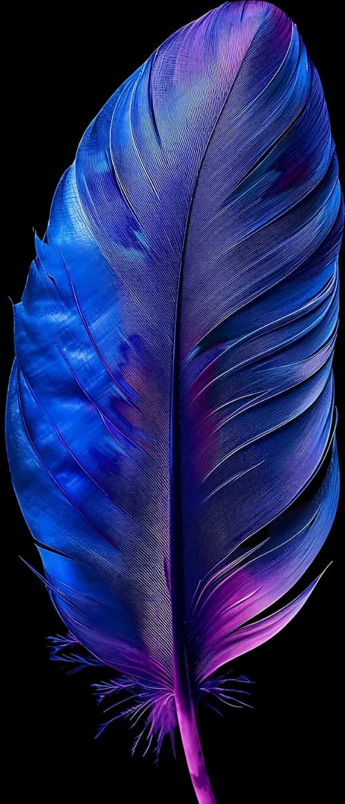 Plume Webcraft Studio